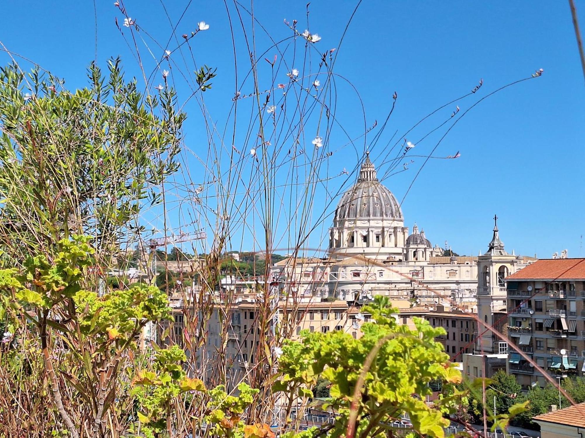 Delmirani'S Book Apartments - Vatican View Róma Kültér fotó